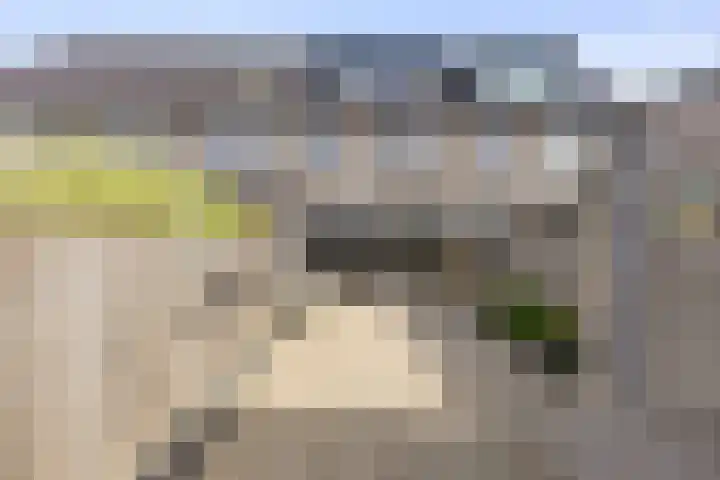 Koningin Máximalaan 18 Julianadorp thumbnail 13