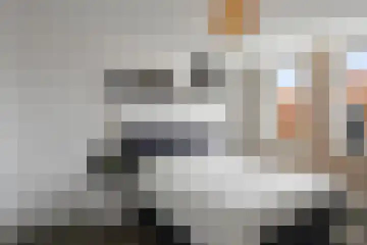 Koningin Máximalaan 18 Julianadorp thumbnail 16