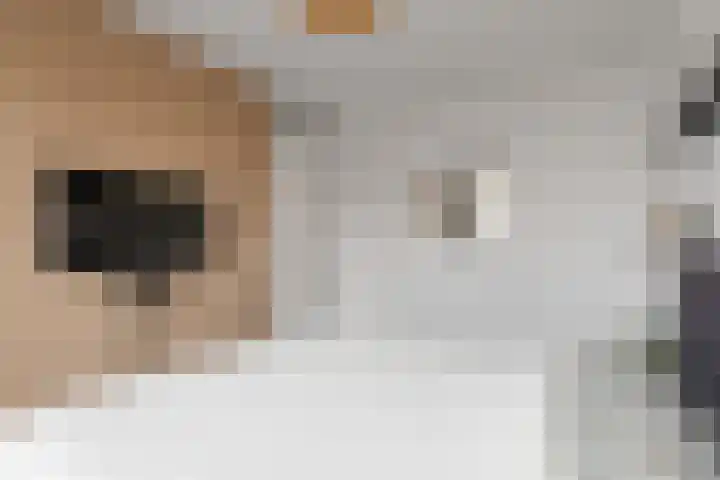 Koningin Máximalaan 18 Julianadorp thumbnail 17