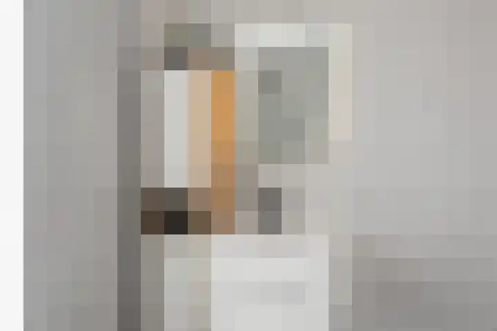 Koningin Máximalaan 18 Julianadorp thumbnail 22