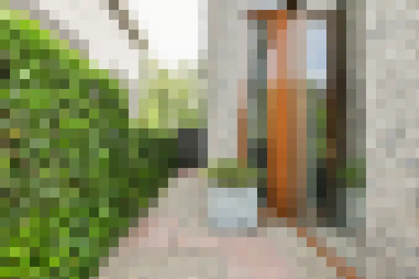 Koningin Maximalaan 23 Hoofddorp thumbnail 41