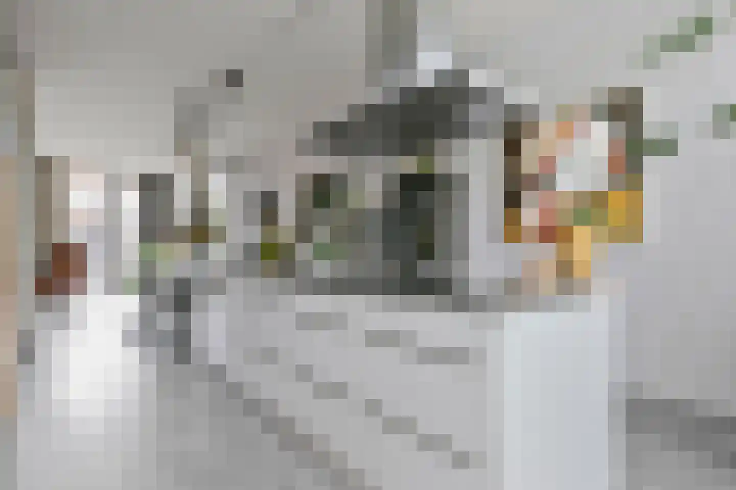 Koningin Maximalaan 23 Hoofddorp thumbnail 8