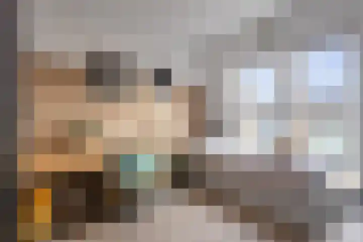 Koningin Máximalaan 50 Julianadorp thumbnail 19