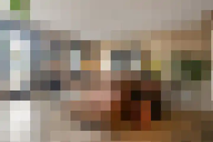 Koningin Máximalaan 50 Julianadorp thumbnail 6