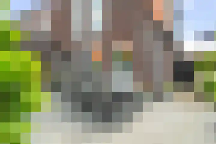 Koningin Máximalaan 78 Julianadorp thumbnail 15