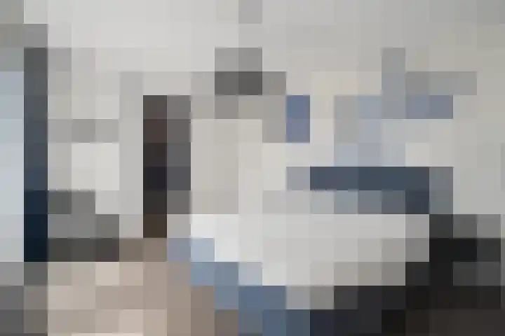Koningin Máximalaan 78 Julianadorp thumbnail 20