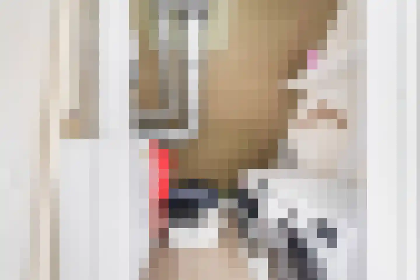 Koningin Máximalaan 88 Julianadorp thumbnail 39