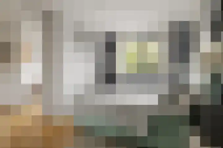 Koningin Regentesselaan 104 Roermond thumbnail 20