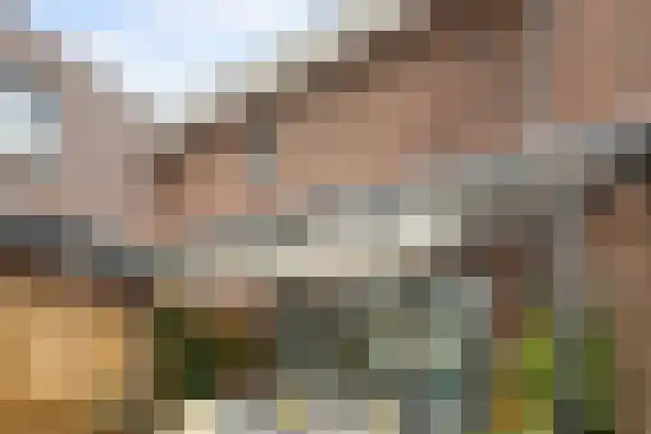 Koningin Regentesselaan 104 Roermond thumbnail 31