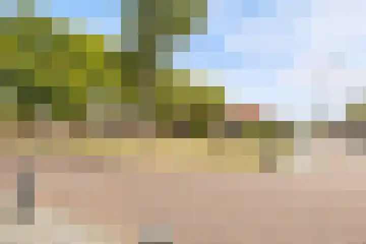 Koningin Regentesselaan 104 Roermond thumbnail 37