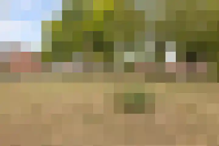 Koningin Regentesselaan 104 Roermond thumbnail 38