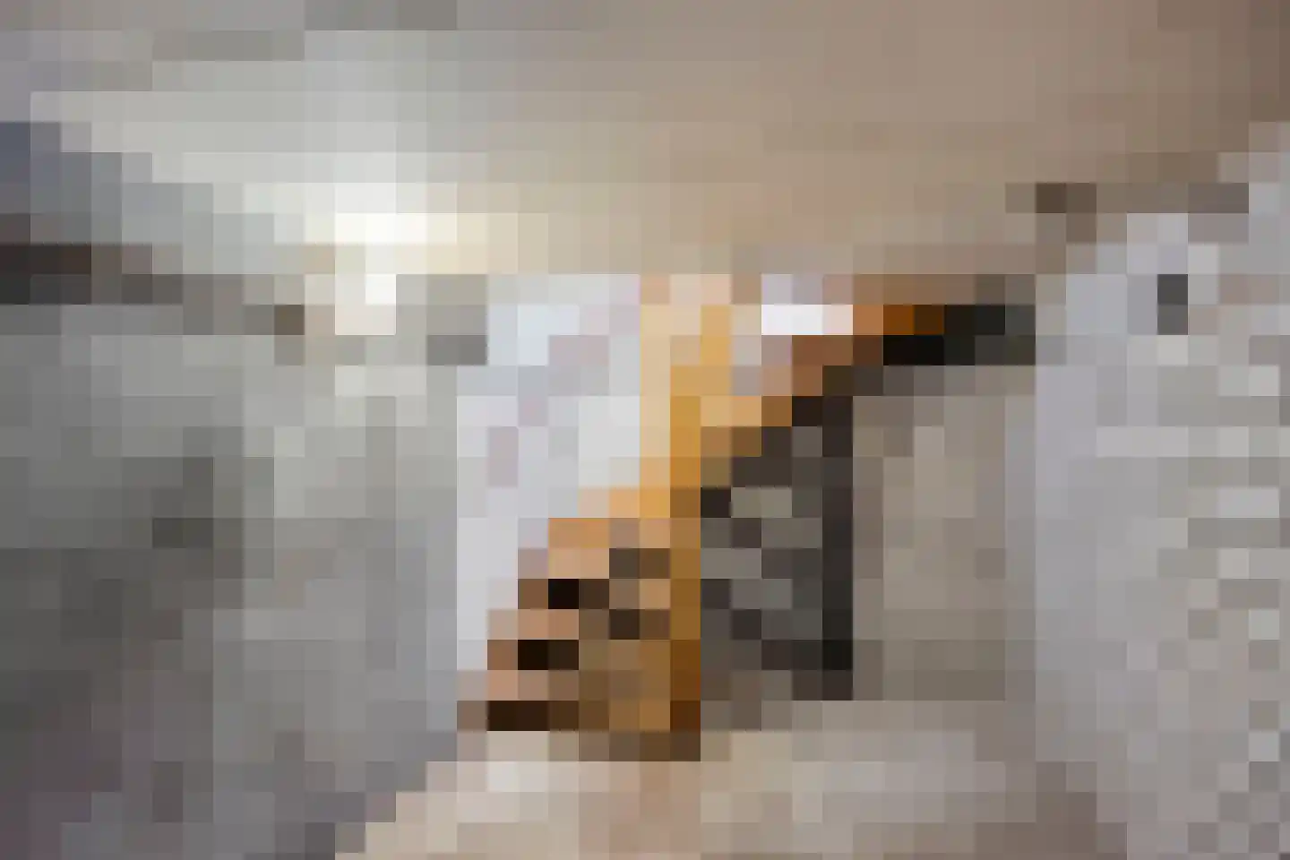 Koningin Regentesselaan 82 Roermond thumbnail 9