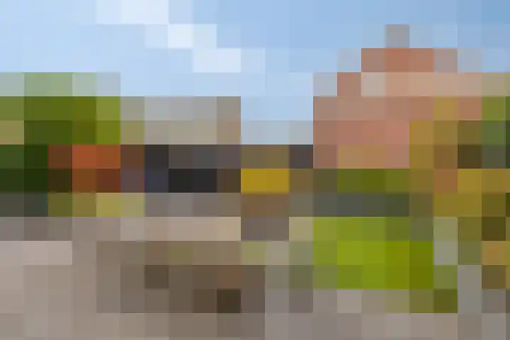 Koningin Sophiastraat 1 Alkmaar thumbnail 4