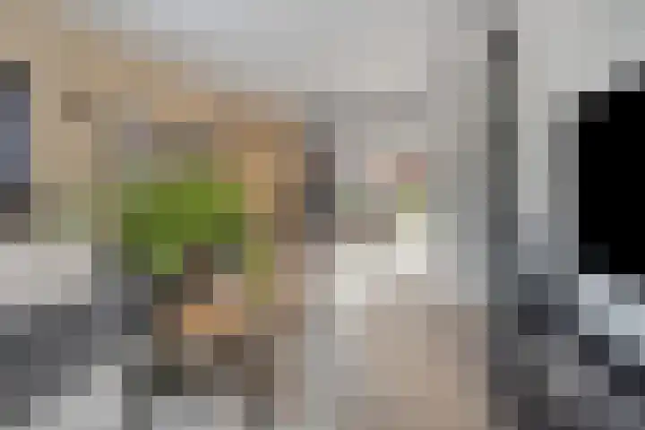 Koningin Sophiastraat 1 Alkmaar thumbnail 6