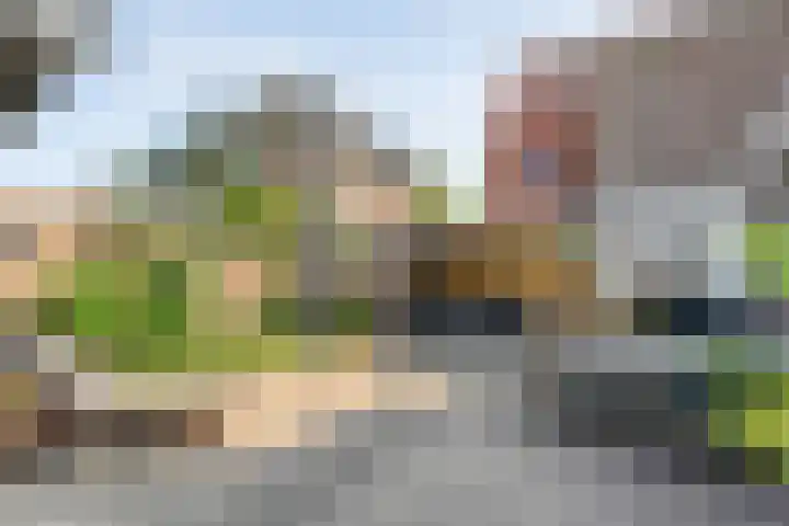 Koningin Sophiastraat 30 Zwolle thumbnail 38