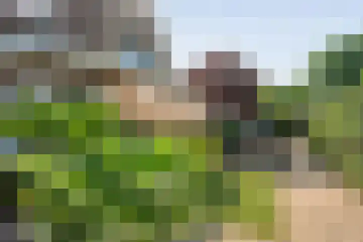 Koningin Sophiastraat 30 Zwolle thumbnail 39