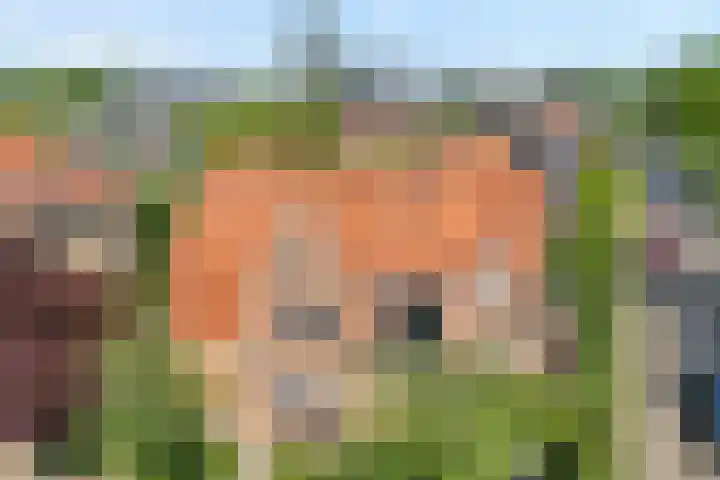 Koningin Sophiastraat 30 Zwolle thumbnail 53