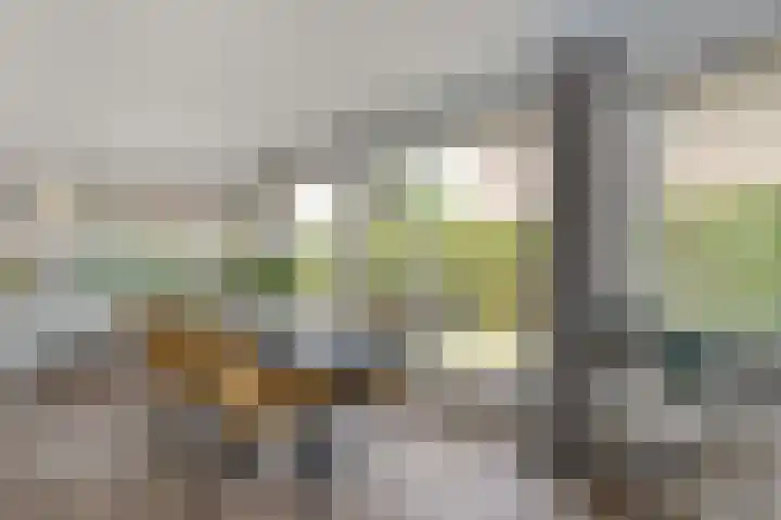 Koningin Sophiastraat 30 Zwolle thumbnail 7