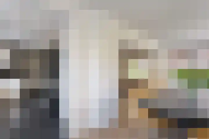 Koningin Sophiastraat 30 Zwolle thumbnail 9