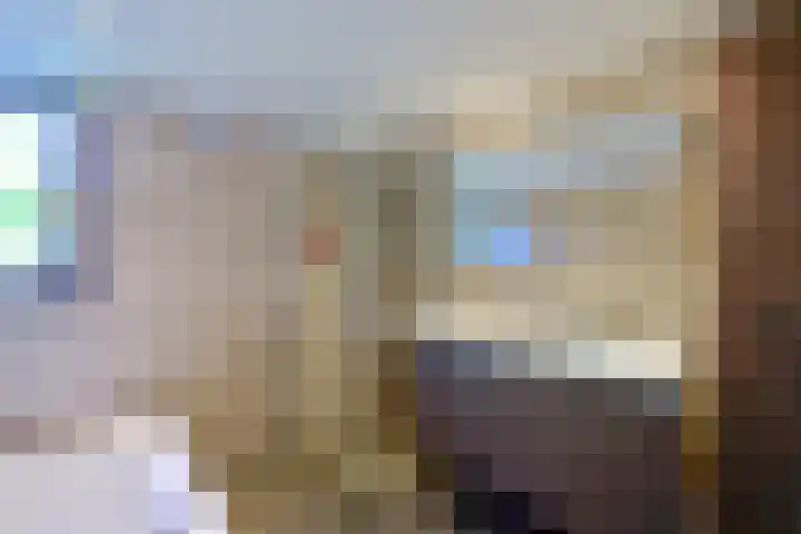 Koningin Sophielaan 1 A Bussum thumbnail 15