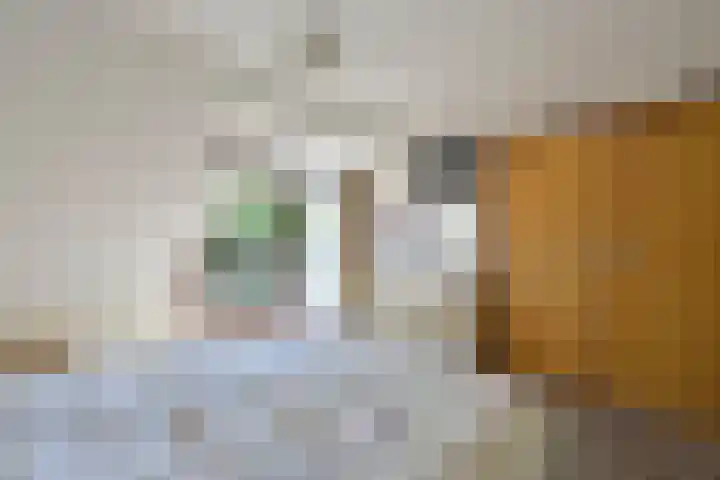 Koningin Sophielaan 1 A Bussum thumbnail 17