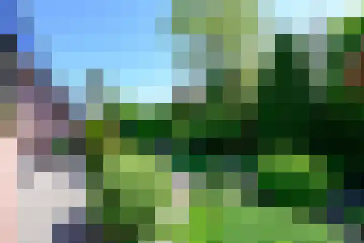 Koningin Sophielaan 1 A Bussum thumbnail 26