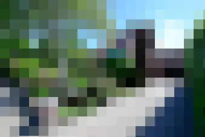 Koningin Sophielaan 1 A Bussum thumbnail 27
