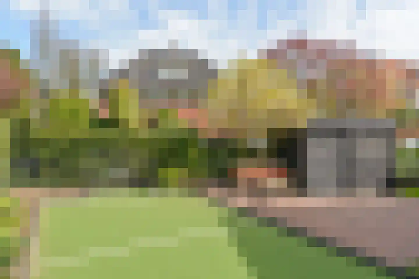 Koningin Sophielaan 9 Bussum thumbnail 37