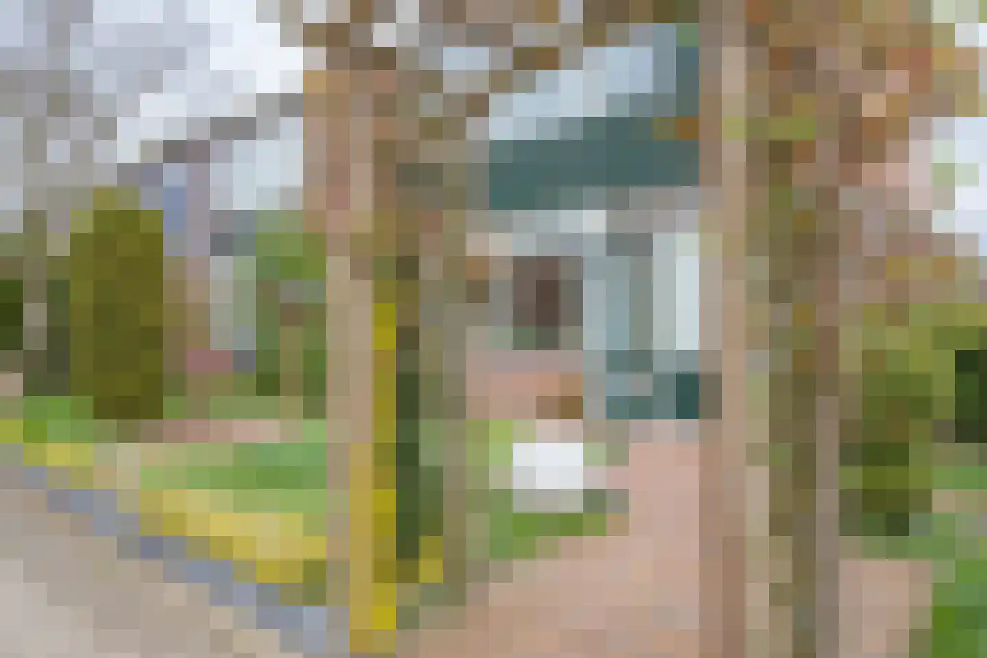 Koningin Sophiestraat 2 Woudenberg thumbnail 5