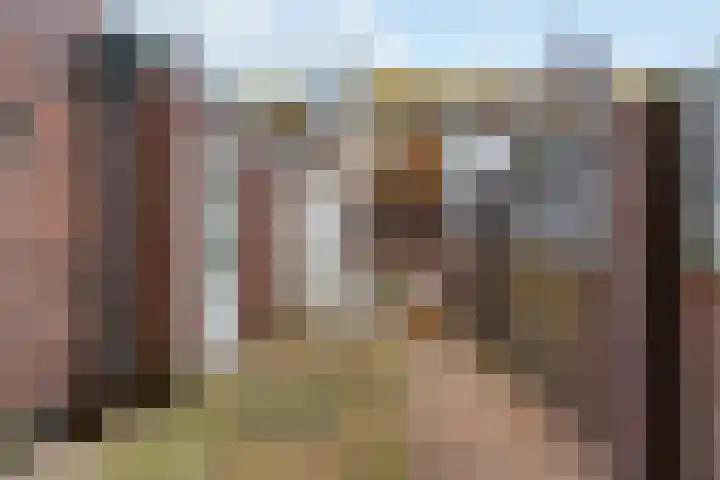 Koningin Wilhelminakade 191 IJmuiden thumbnail 20