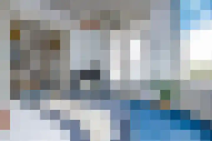 Koningin Wilhelminakade 217 IJmuiden thumbnail 38