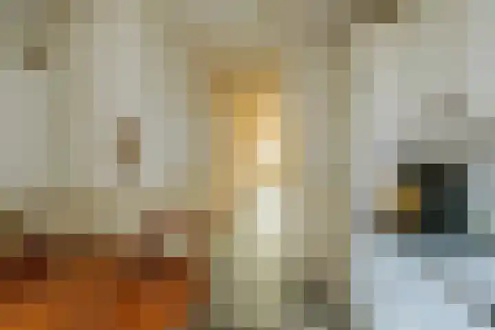 Koningin Wilhelminakade 225 IJmuiden thumbnail 15