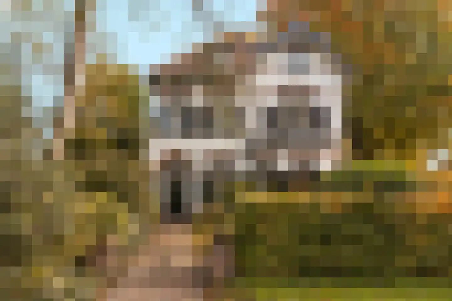 Koningin Wilhelminalaan 1 Driebergen-Rijsenburg