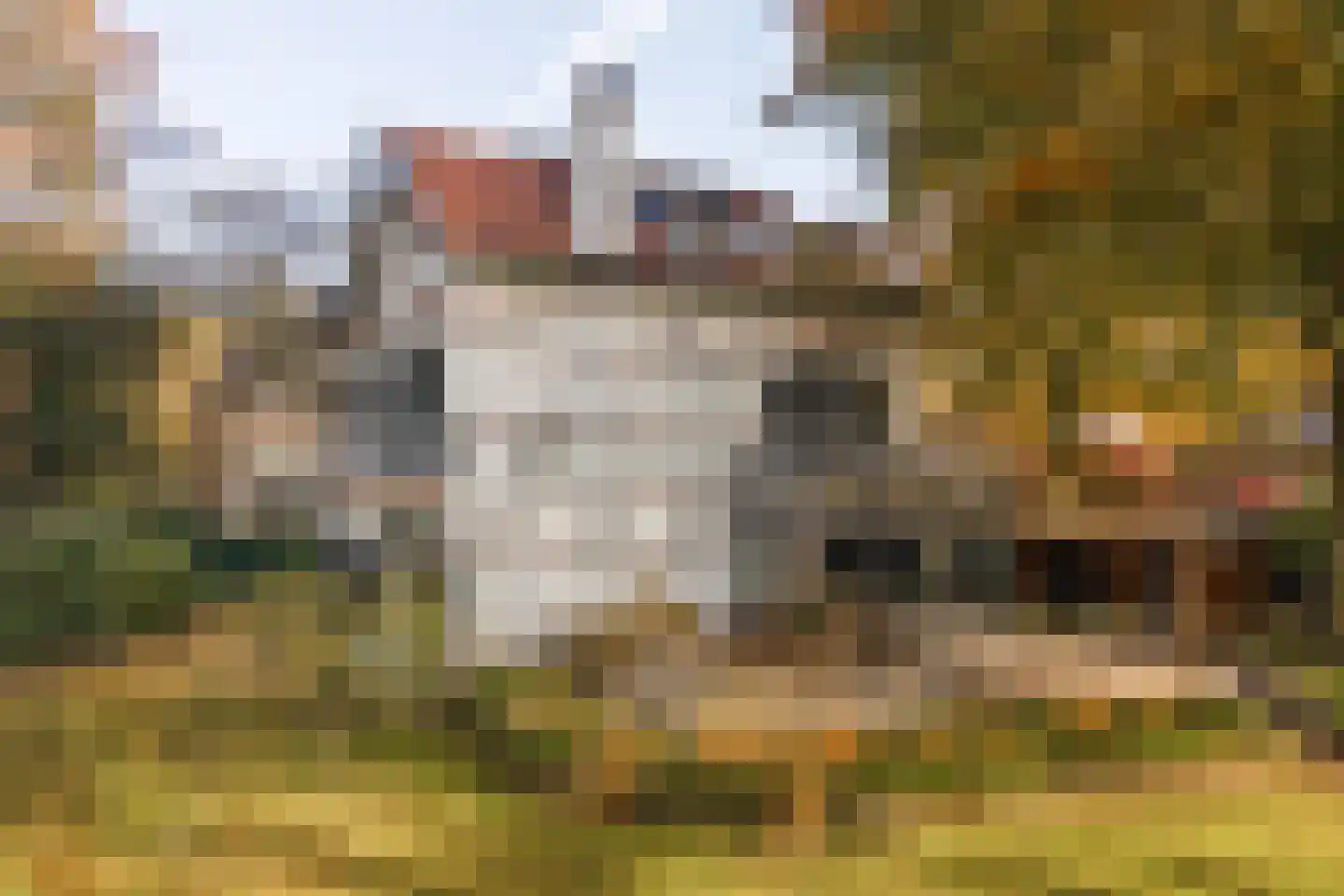 Koningin Wilhelminalaan 1 Driebergen-Rijsenburg foto 2