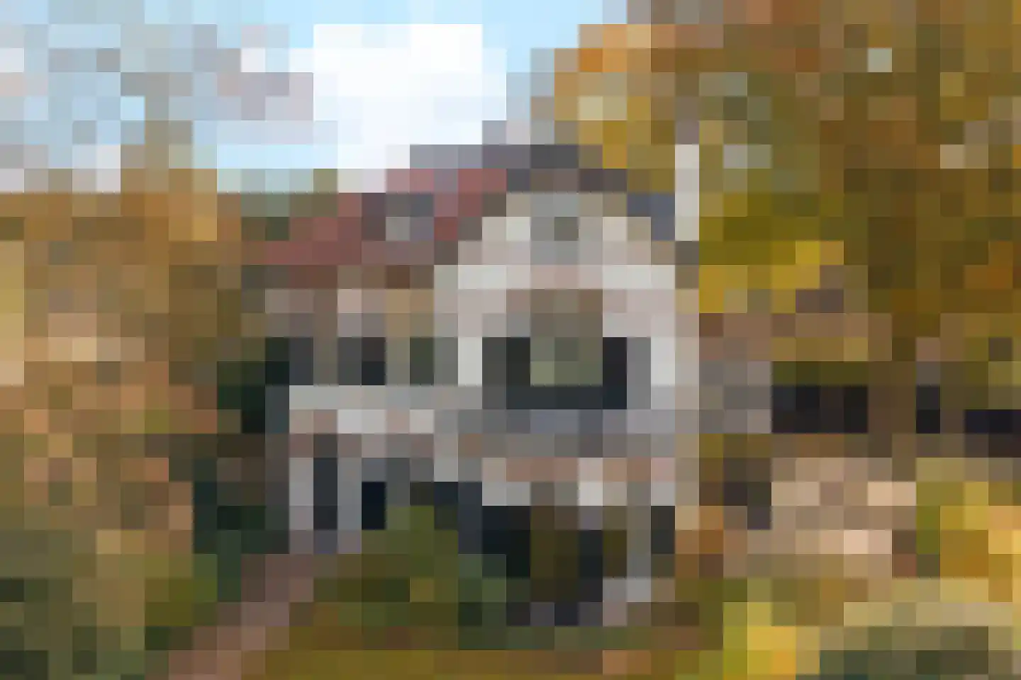 Koningin Wilhelminalaan 1 Driebergen-Rijsenburg thumbnail 46