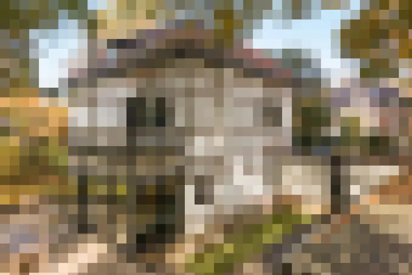Koningin Wilhelminalaan 1 Driebergen-Rijsenburg thumbnail 47
