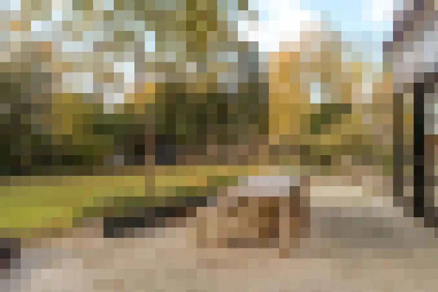 Koningin Wilhelminalaan 1 Driebergen-Rijsenburg thumbnail 51