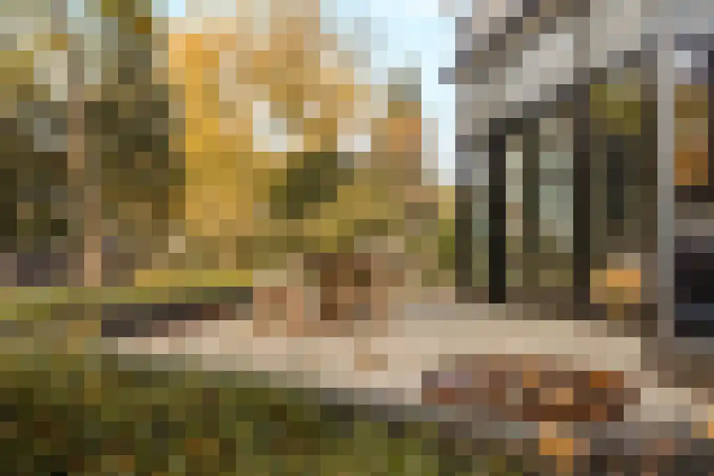 Koningin Wilhelminalaan 1 Driebergen-Rijsenburg thumbnail 52