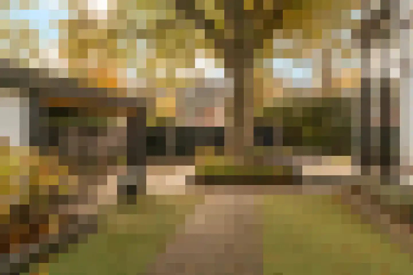 Koningin Wilhelminalaan 1 Driebergen-Rijsenburg thumbnail 55