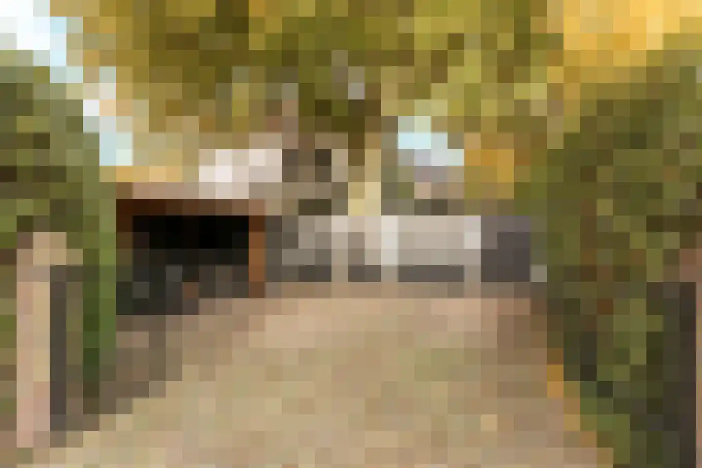 Koningin Wilhelminalaan 1 Driebergen-Rijsenburg thumbnail 58