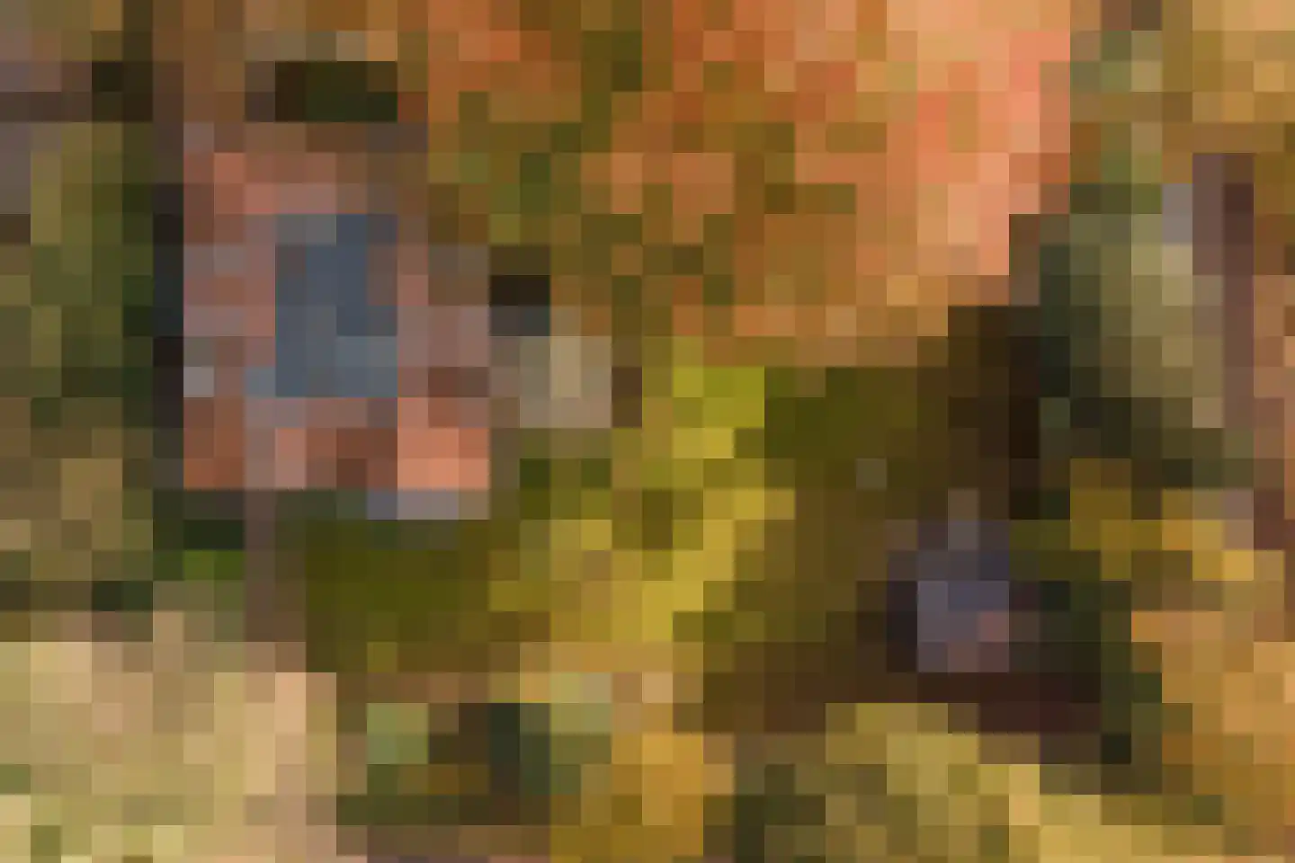 Koningin Wilhelminalaan 1 Driebergen-Rijsenburg thumbnail 60