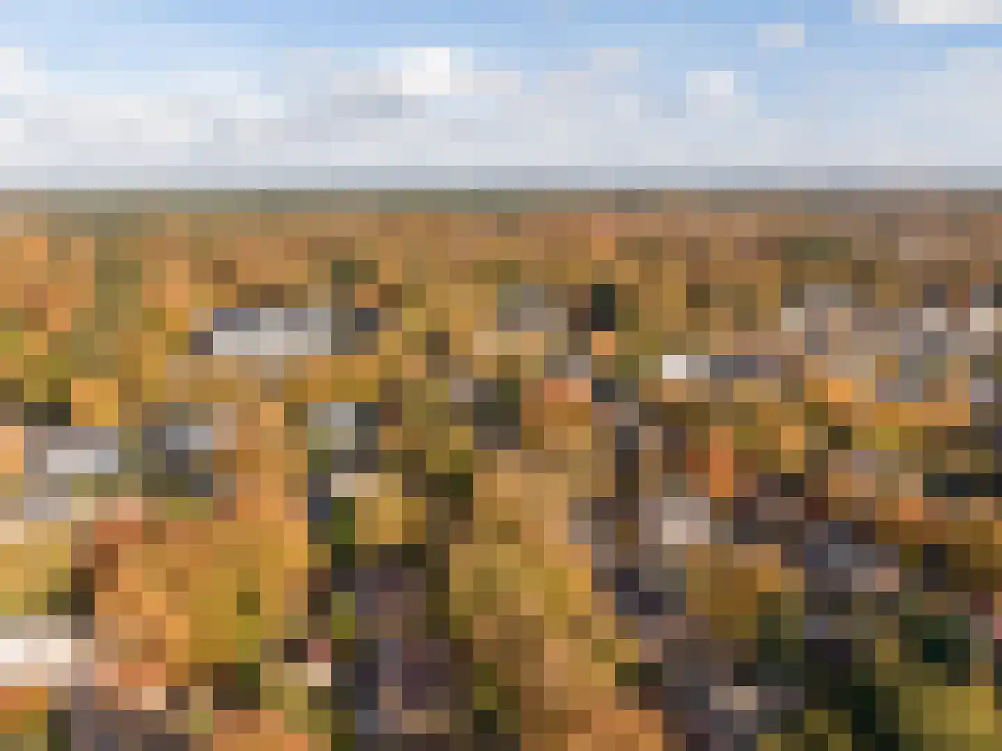 Koningin Wilhelminalaan 1 Driebergen-Rijsenburg thumbnail 62