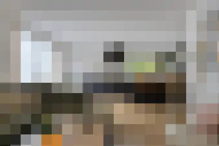 Koningin Wilhelminalaan 1 Hattem thumbnail 11