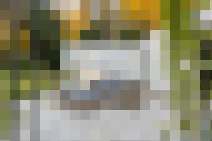 Koningin Wilhelminalaan 1 Hattem thumbnail 38