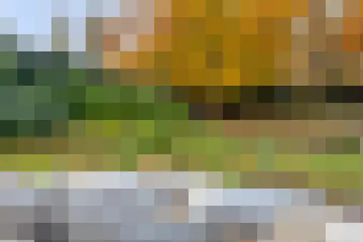 Koningin Wilhelminalaan 1 Hattem thumbnail 39
