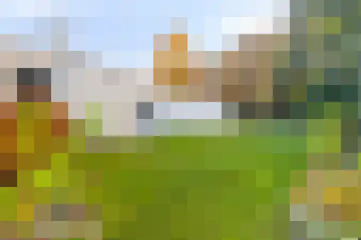Koningin Wilhelminalaan 1 Hattem thumbnail 42