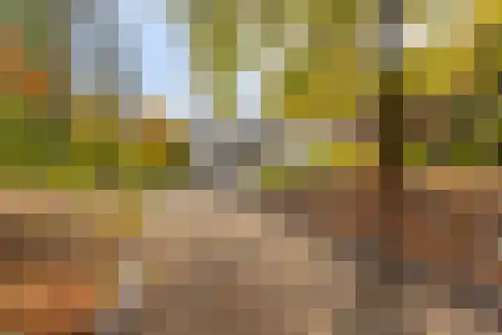 Koningin Wilhelminalaan 1 Hattem thumbnail 5