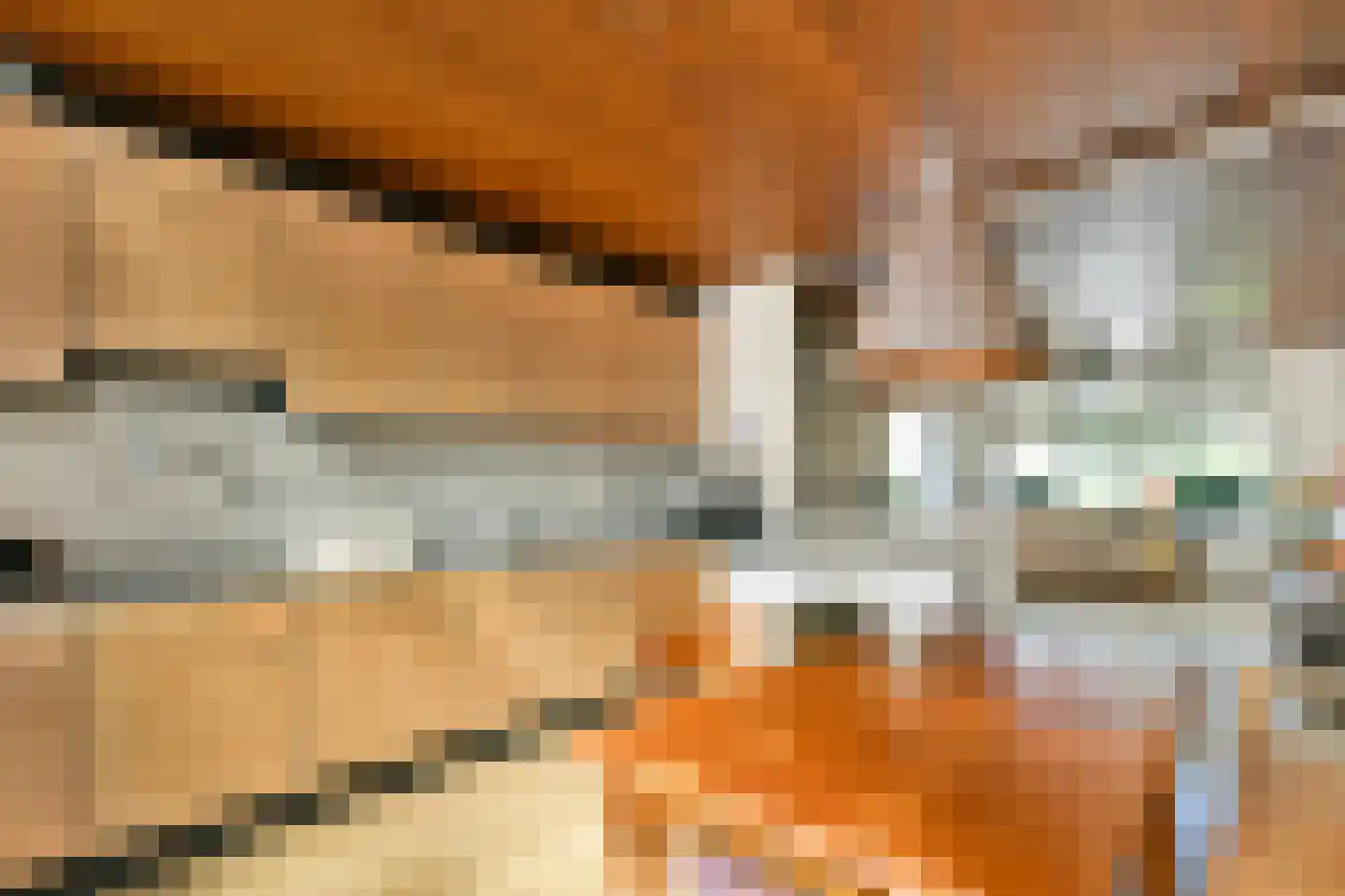 Koningin Wilhelminalaan 1 Hippolytushoef thumbnail 10
