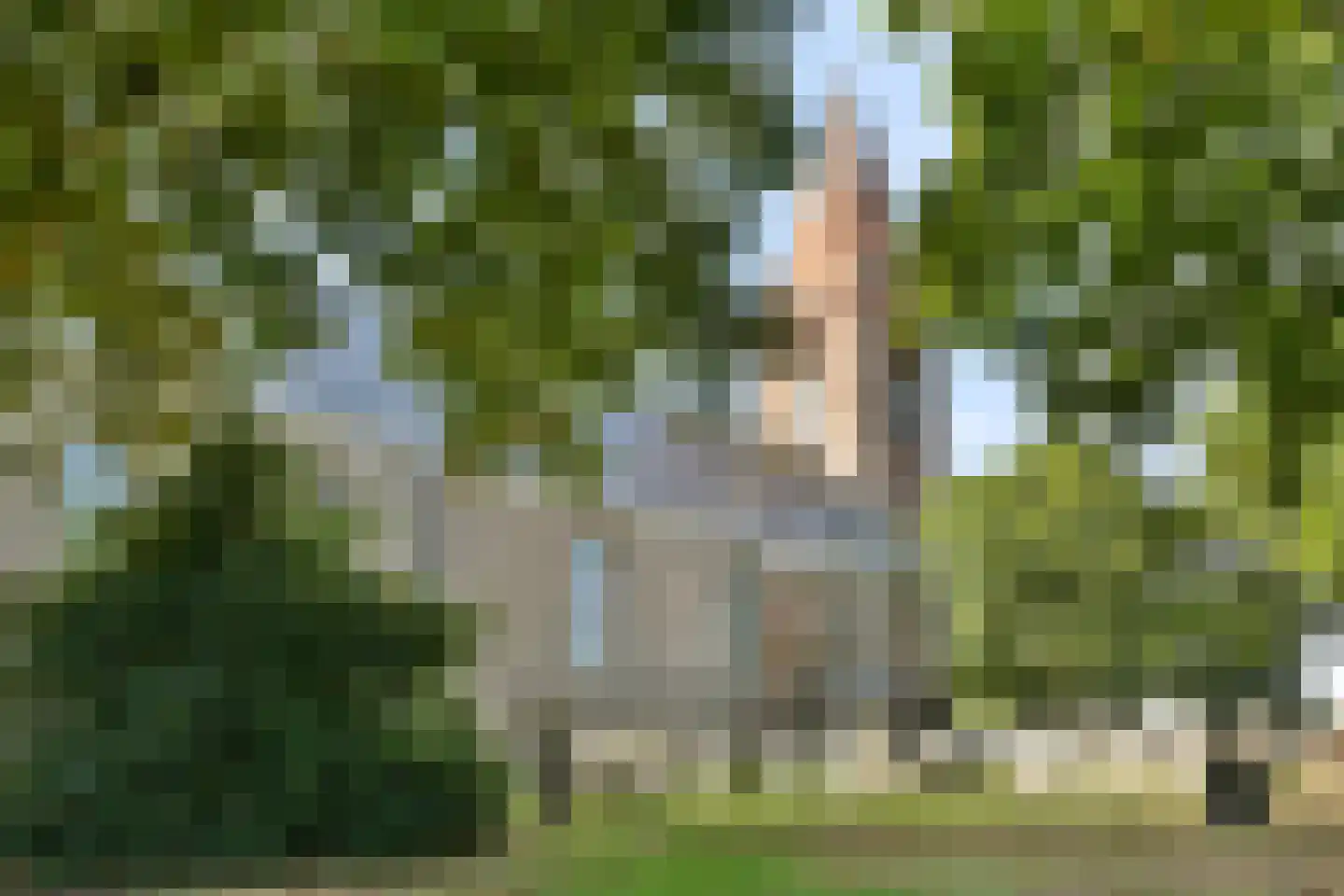 Koningin Wilhelminalaan 1 Hippolytushoef thumbnail 21