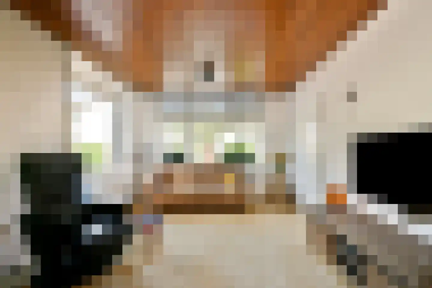 Koningin Wilhelminalaan 1 Hippolytushoef thumbnail 6